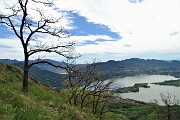 41 Lago di Annone visto tra le querce 